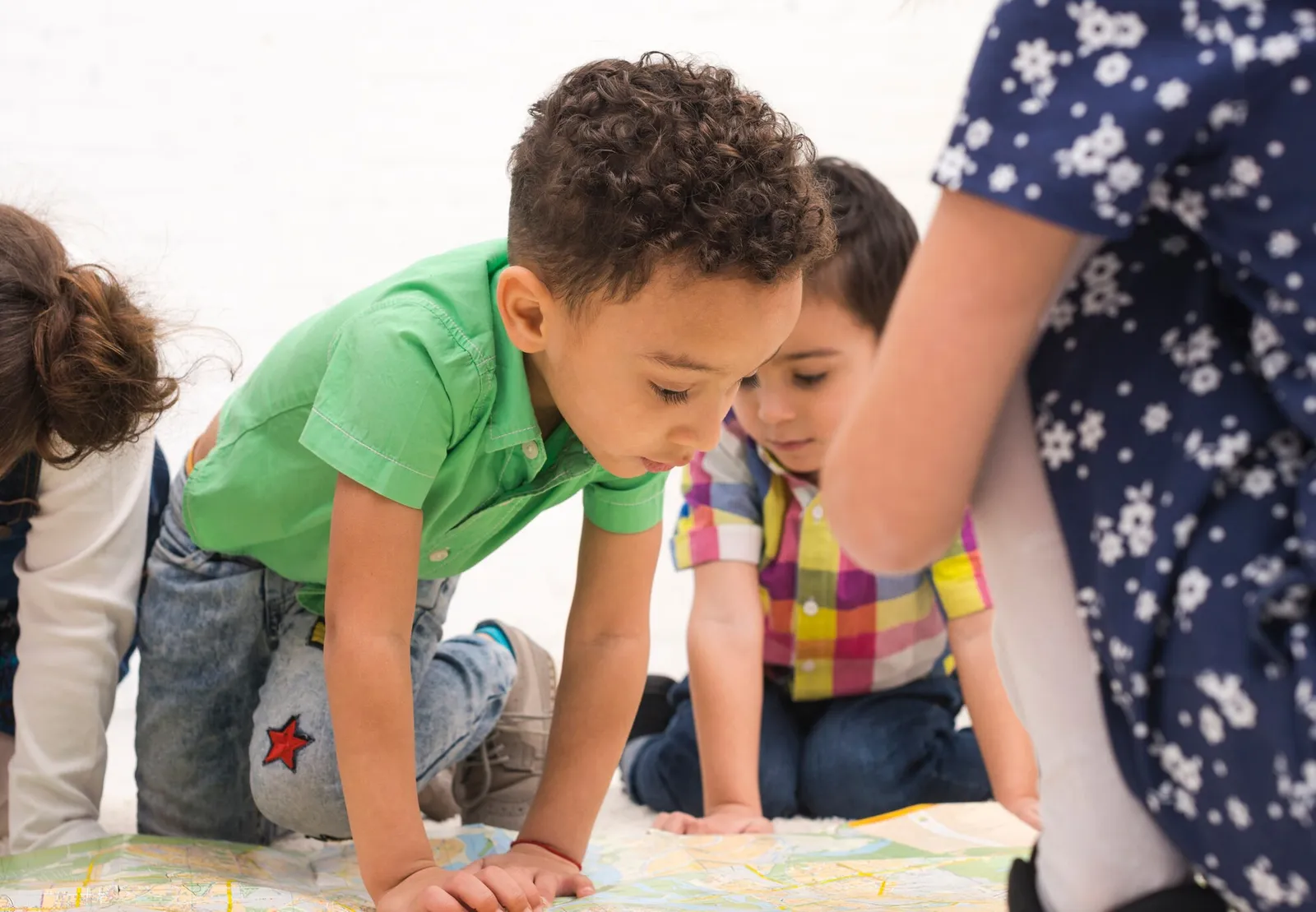 Registered early childhood professional license application