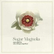 Sugar Magnolia's Avatar